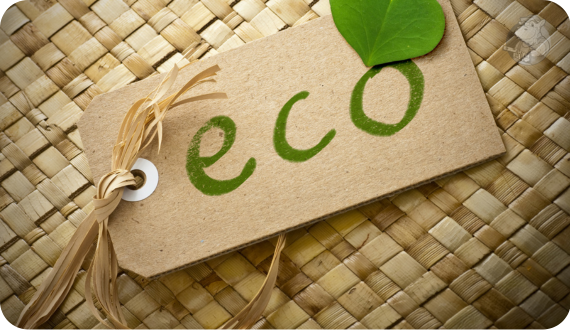 ECO 1